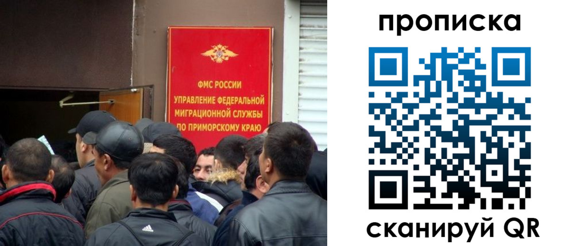 временная регистрация гарантия в Светлом
